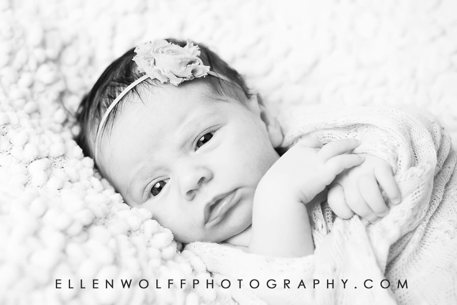 ellen-wolff-photographer-gabriella-3-weeks-old-nyc-newborn-photography